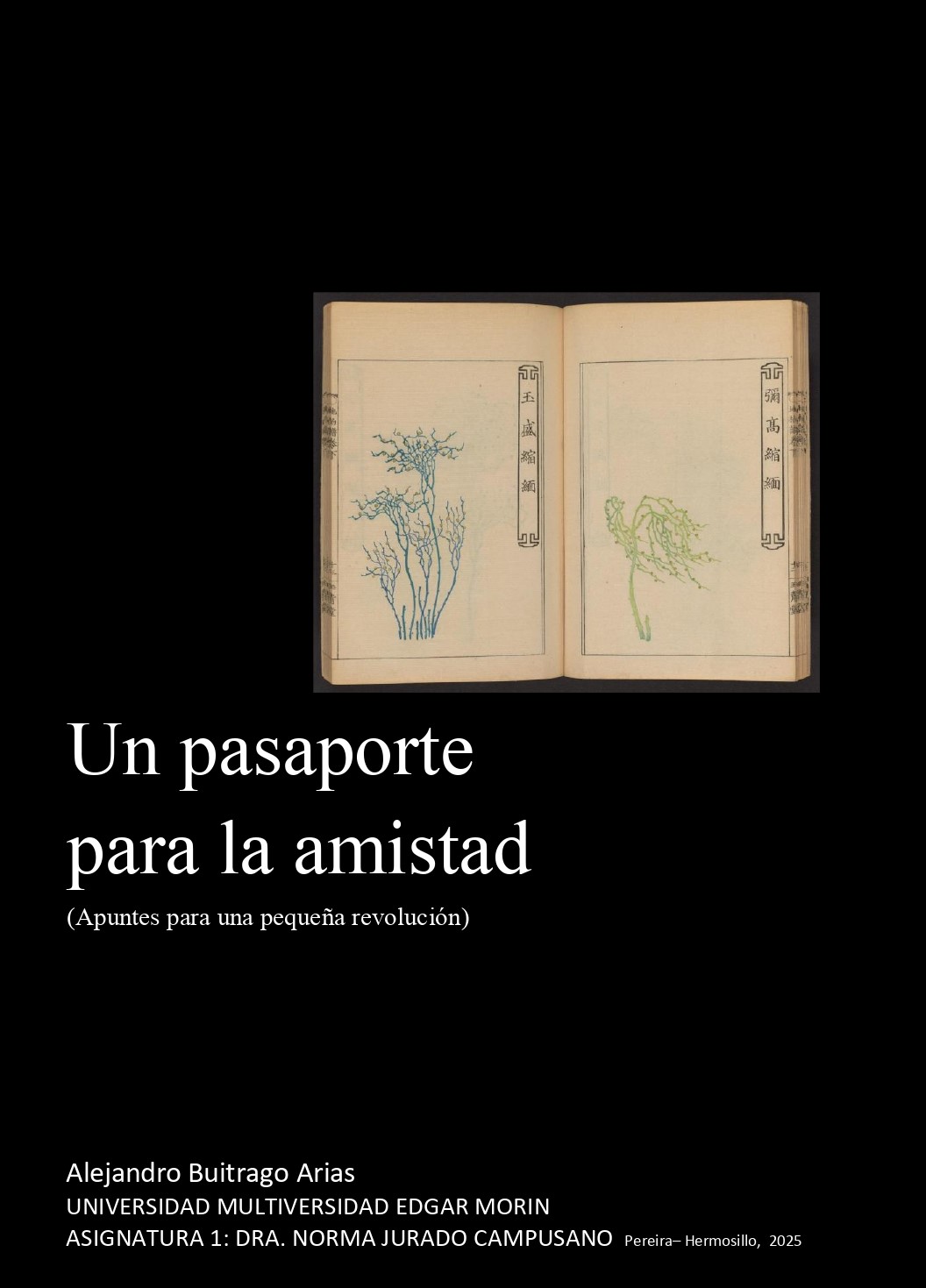 Artículo: Un pasaporte para la amistad 